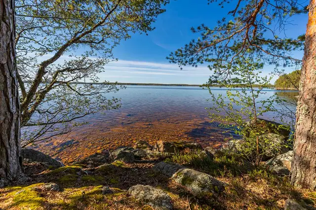 Lauri: järvimaisema