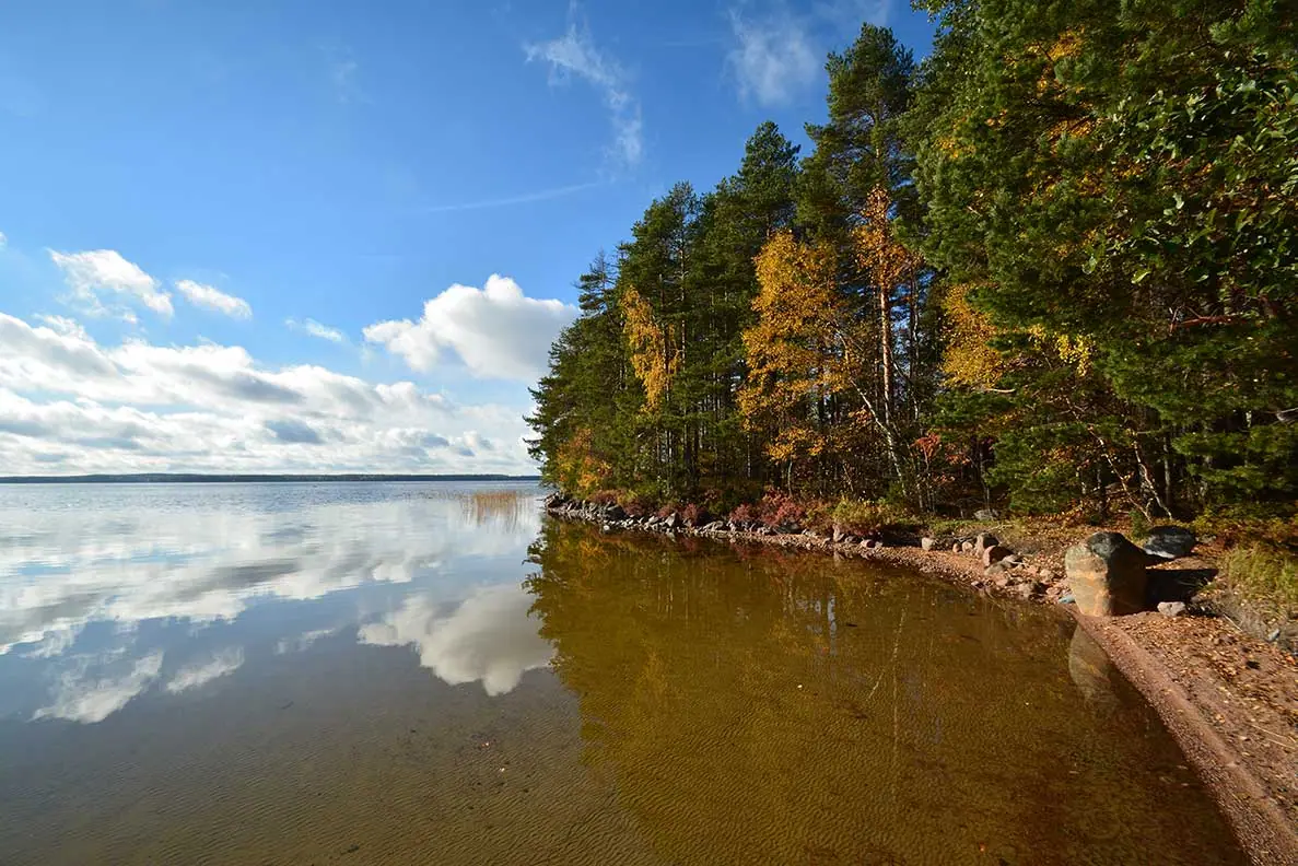 Timo: järvimaisema