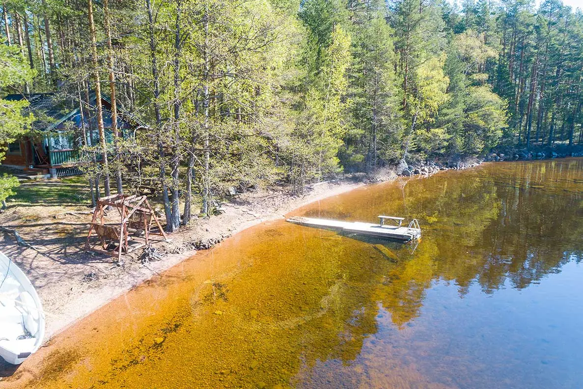 Tintti: järvimaisema