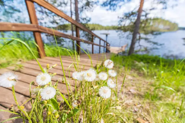 Villa Kukasjärvi: ranta ja laituri