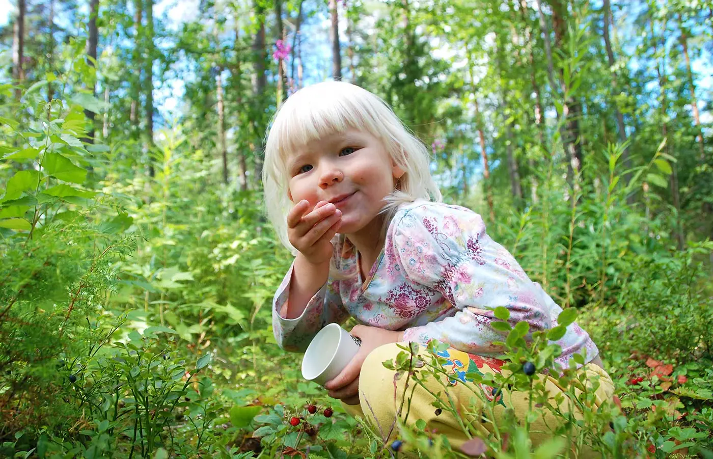 Lapsi poimii mustikoita metsässä